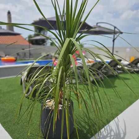 Kuca Za Odmor Donata ザダル