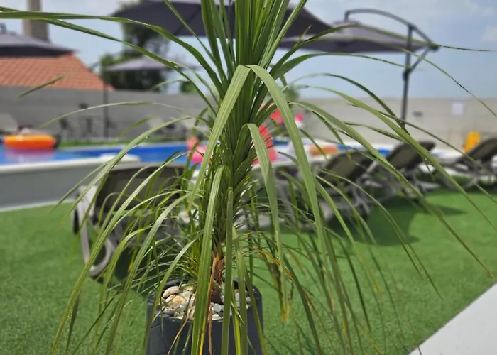 Kuca Za Odmor Donata Zadar